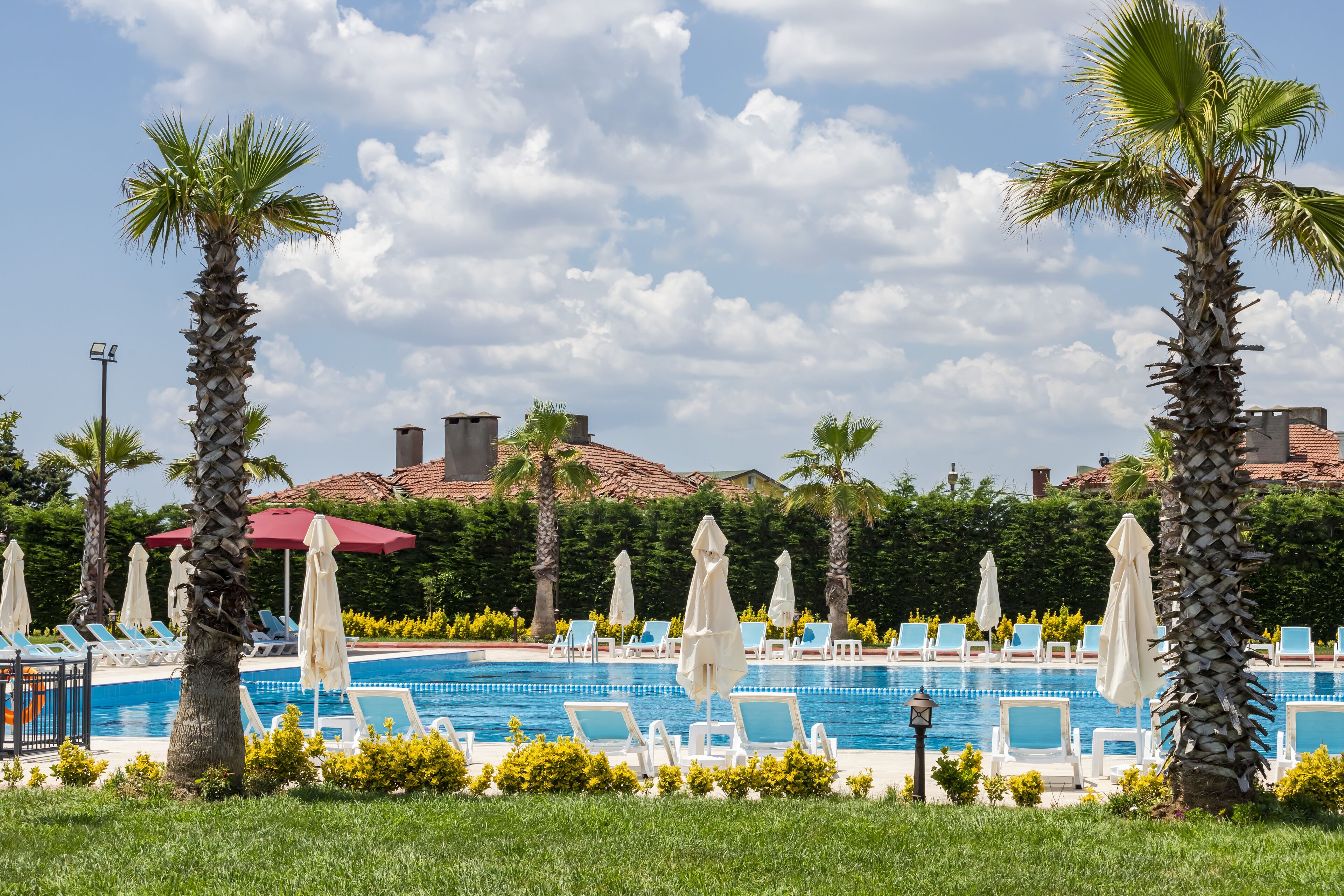 Zona de piscina con sillones y sombrillas, rodeada de palmeras y cielo despejado.