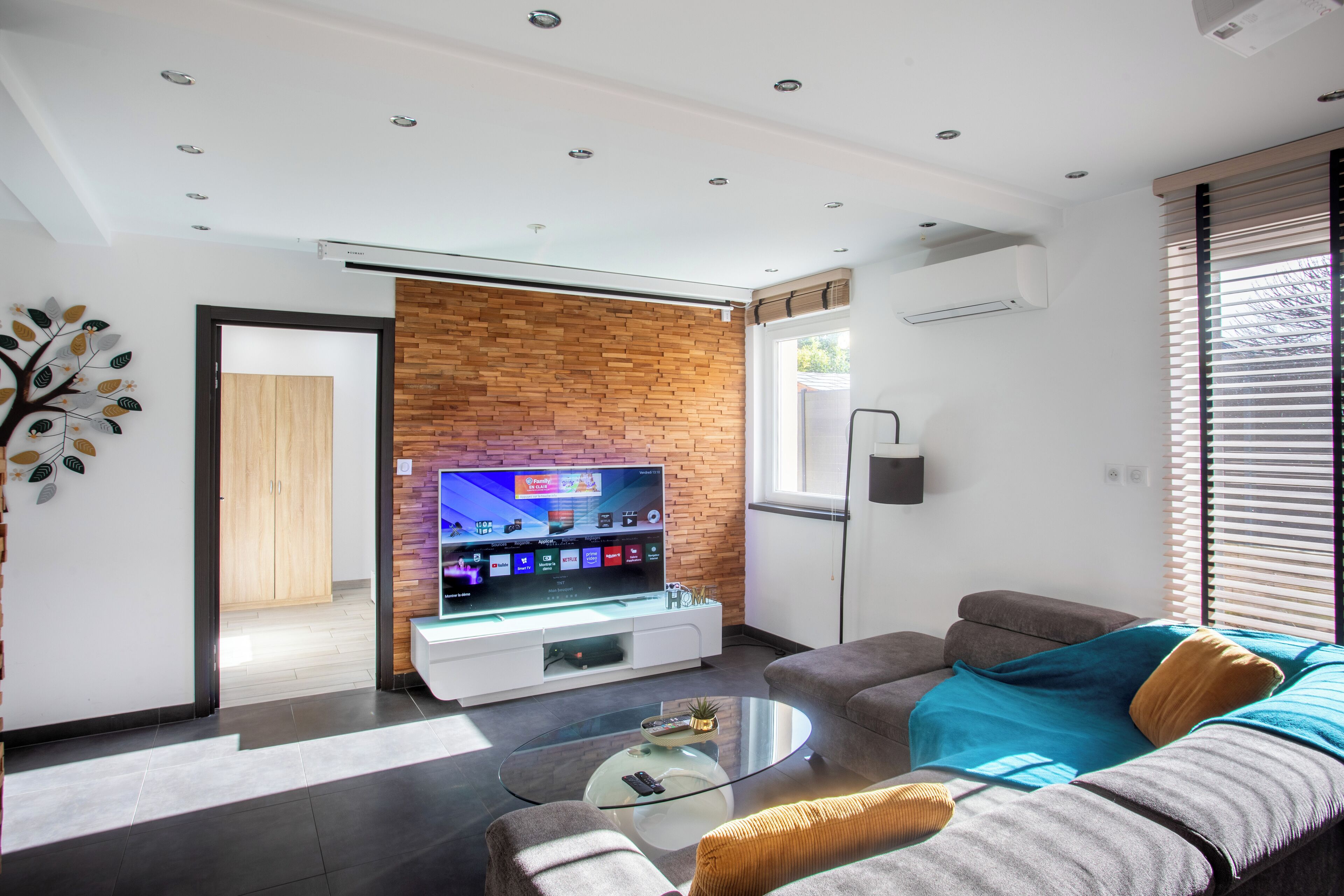 Smart TV, DVD player, books, video library