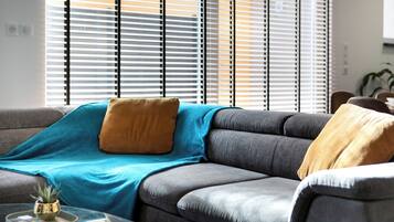 Smart TV, DVD player, books, video library