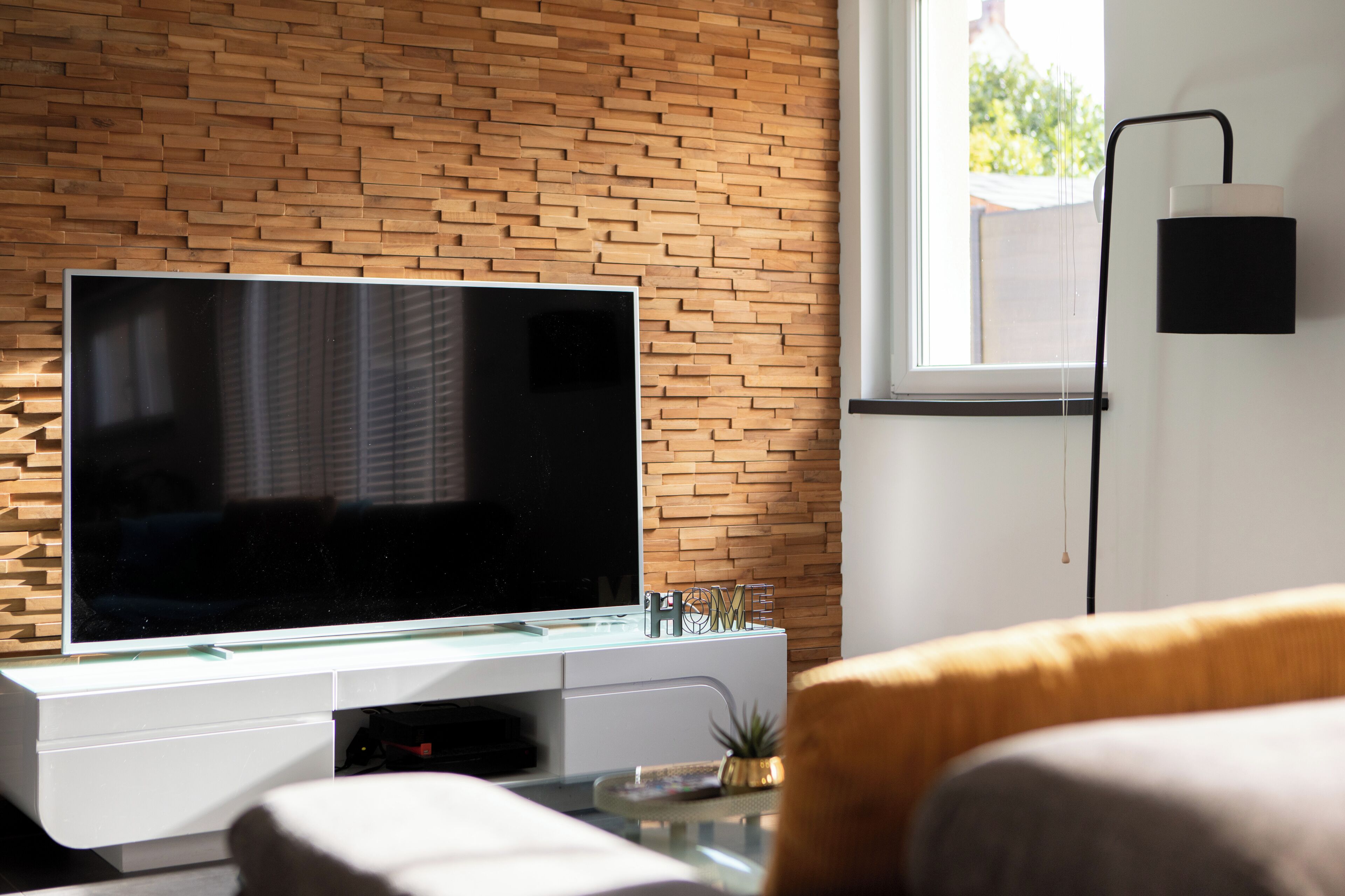 Smart TV, DVD player, books, video library