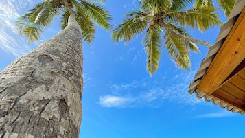 En la playa, toallas de playa