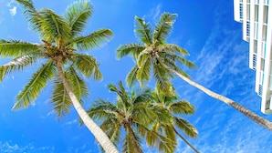 A view of tall palm trees against a clear blue sky, with a modern building in the background. - 14th Floor Modern Ocean, Beach & Pool View Apartment in Juan Dolio (Guayacanes)