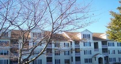 Two Bedrooms, Two Bath condo, Close to Beach & Shopping