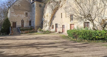 16th century manor house with 4 bedrooms near Chenonceau and Beauval Zoo