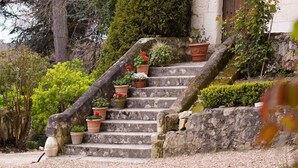 Una escalera de piedra que lleva a un edificio con una puerta de madera, rodeado de plantas en macetas y un camino de grava.