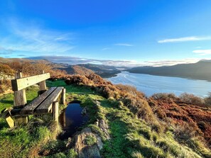 Unclassified image, 2 of 20, button