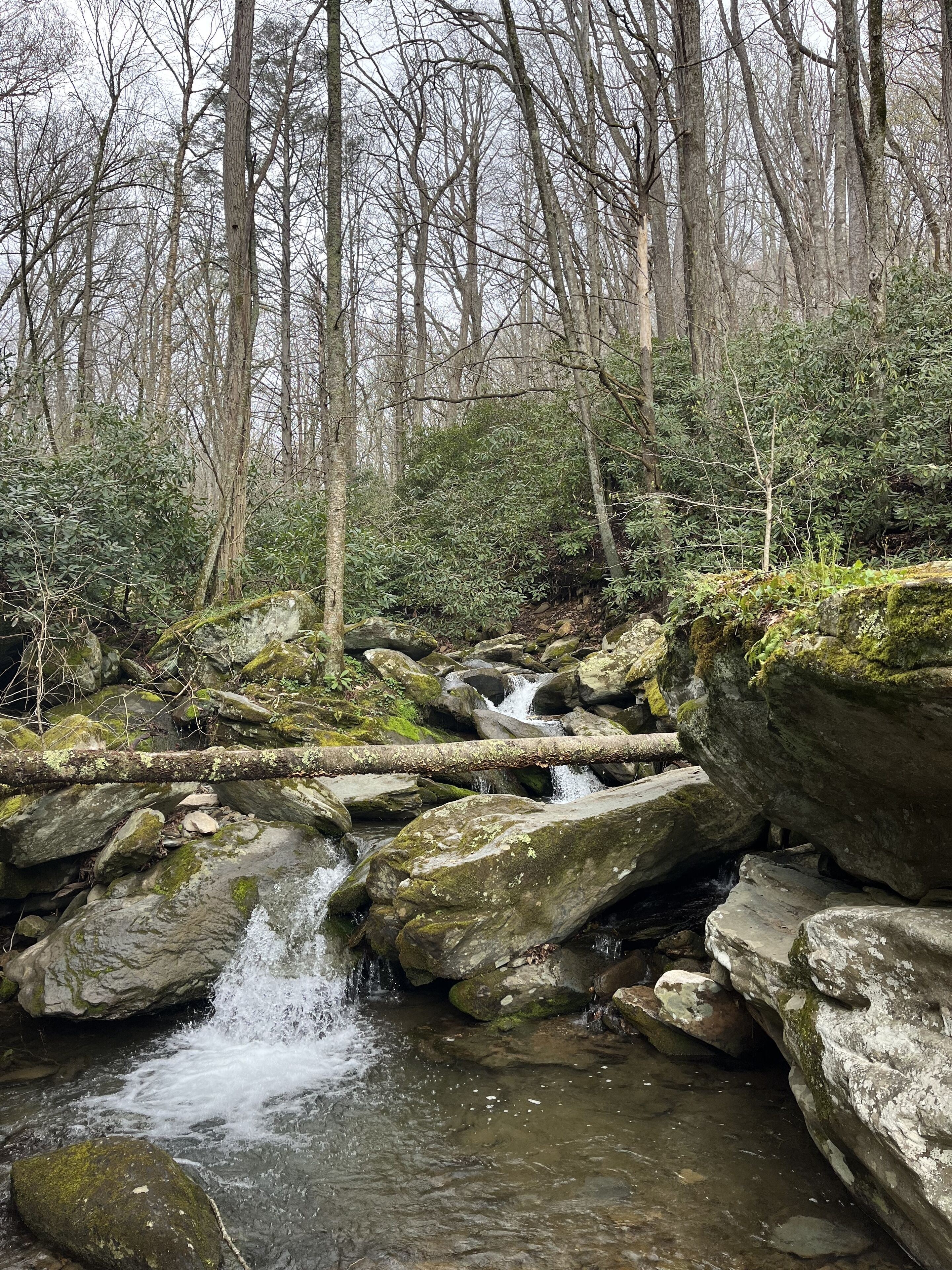A natural stream flowing over rocks in a forested area.