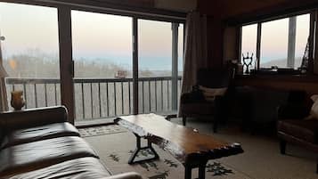 Smart TV, fireplace, video games, books