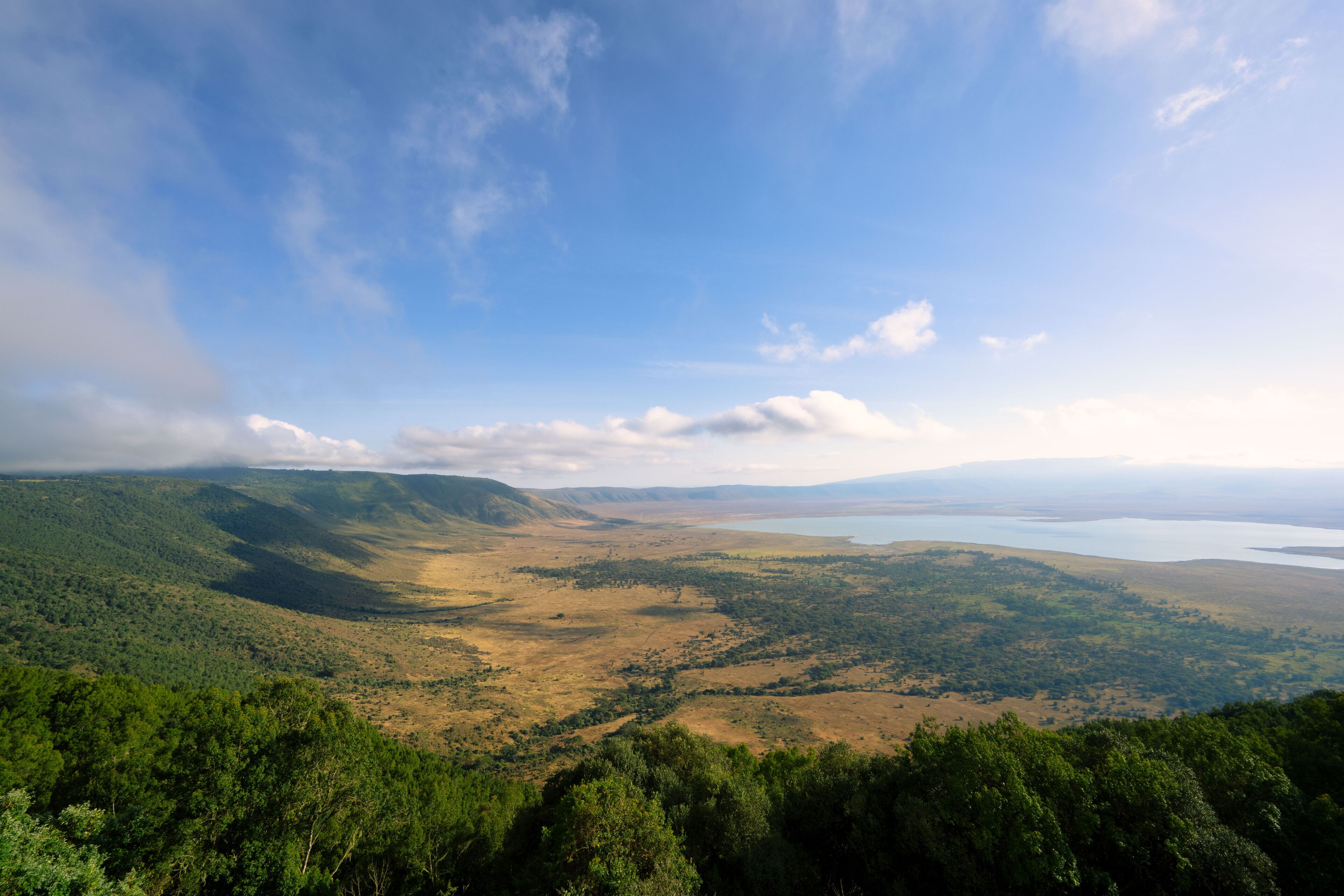 Une vue panoramique d’un paysage montagneux avec un lac et des zones boisées.