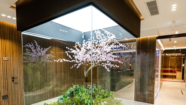 Un interior moderno con cerramiento de vidrio, una planta y una estructura de madera.