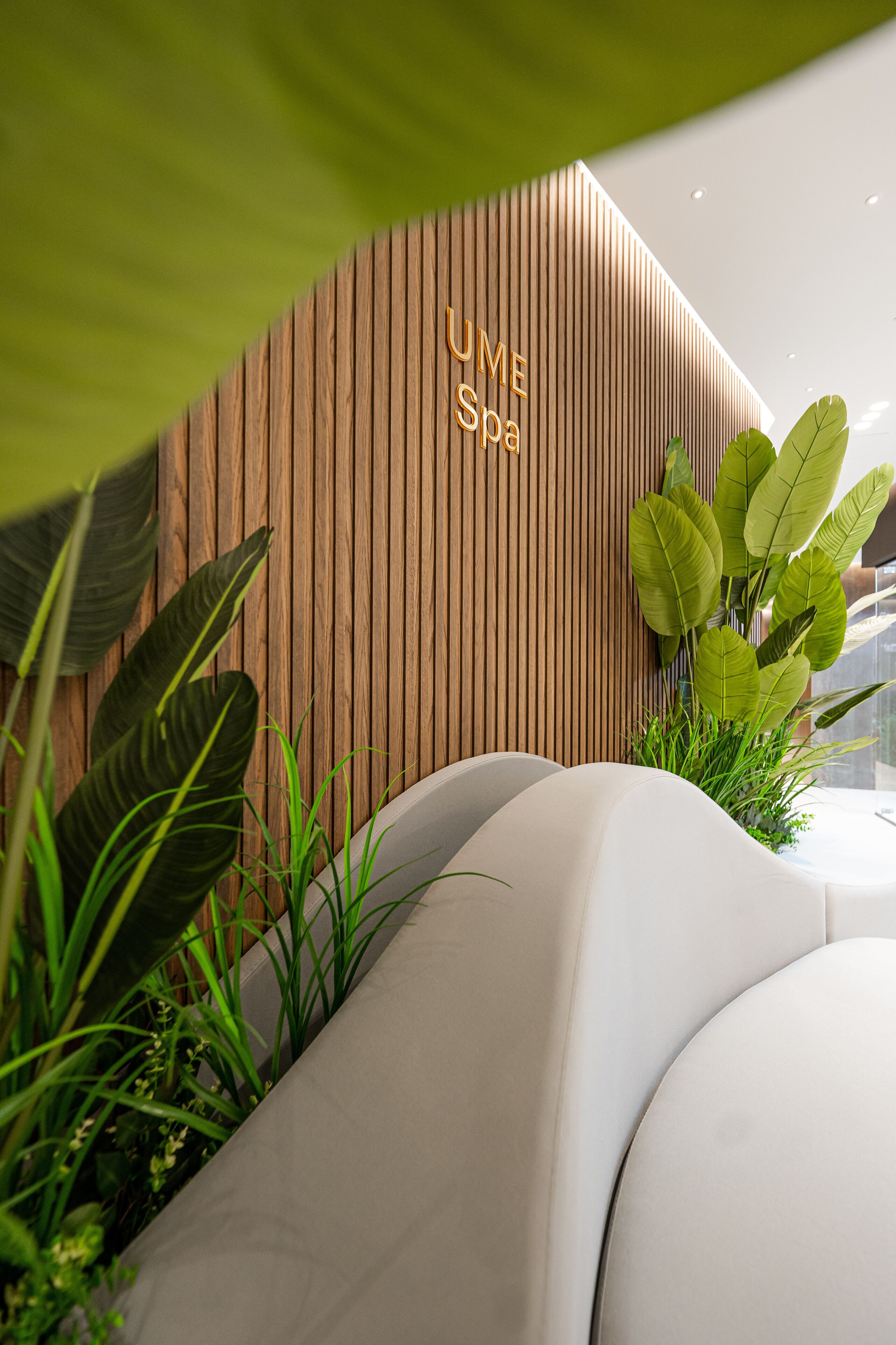 Foto - Hotel Elisa Tirana, Affiliated by Meliá