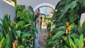 Un sendero de concreto estrecho bordeado por exuberante follaje verde y flores anaranjadas, que conduce a una puerta blanca.