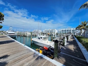Stroll along the marina's wooden boardwalk, lined with lush greenery and palm trees, to the dock where boats are moored.