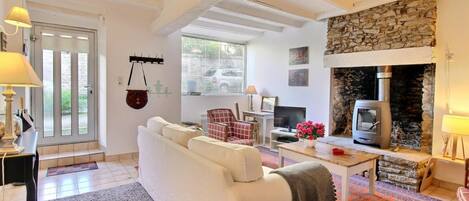 TV, fireplace, books
