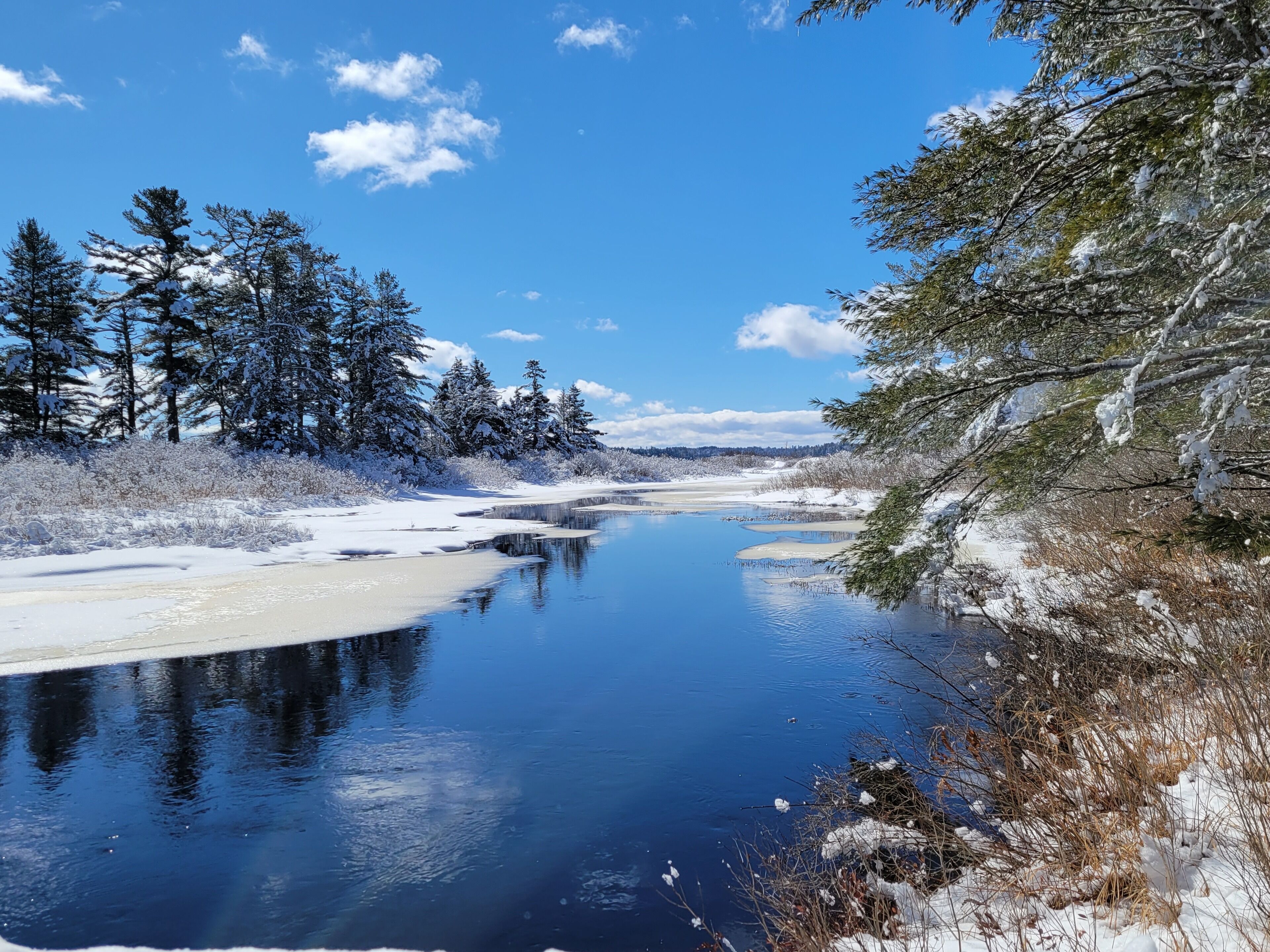 Ein gefrorener Fluss mit schneebedeckten Bäumen und blauem Himmel.