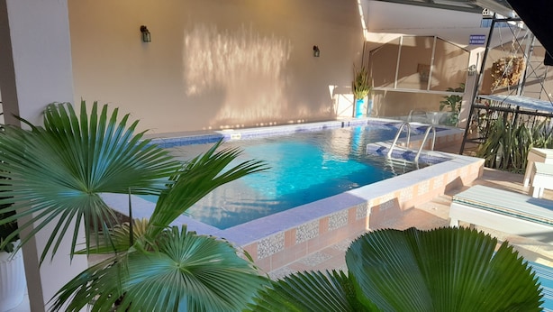 Una piscina con borde de azulejos, rodeada de macetas con plantas y un patio iluminado por el sol.