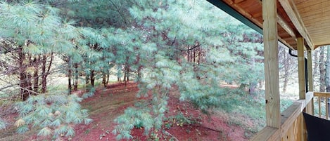 A wooden deck with a view of a forested area.