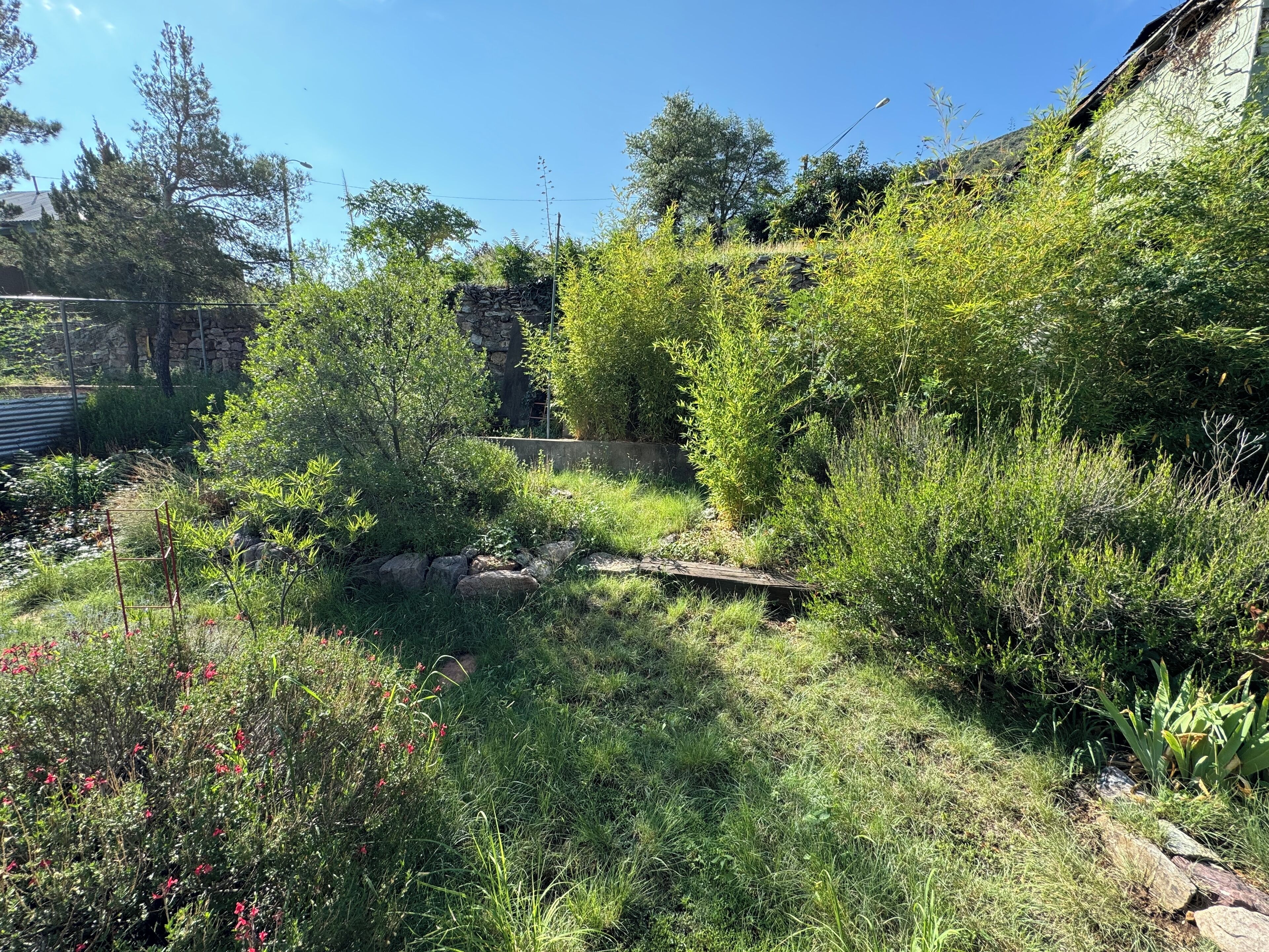 A garden with various plants and a stone wall.