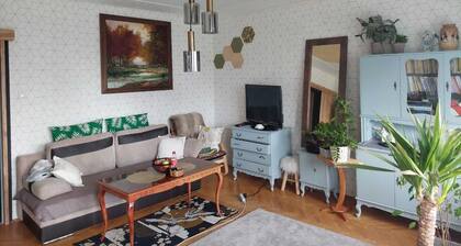 The apartment is in heart of Bialystok, in lovely central neighbourhood area, ab