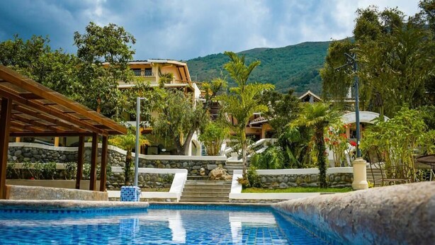 A swimming pool with a tiled deck, surrounded by lush greenery and a stone wall.