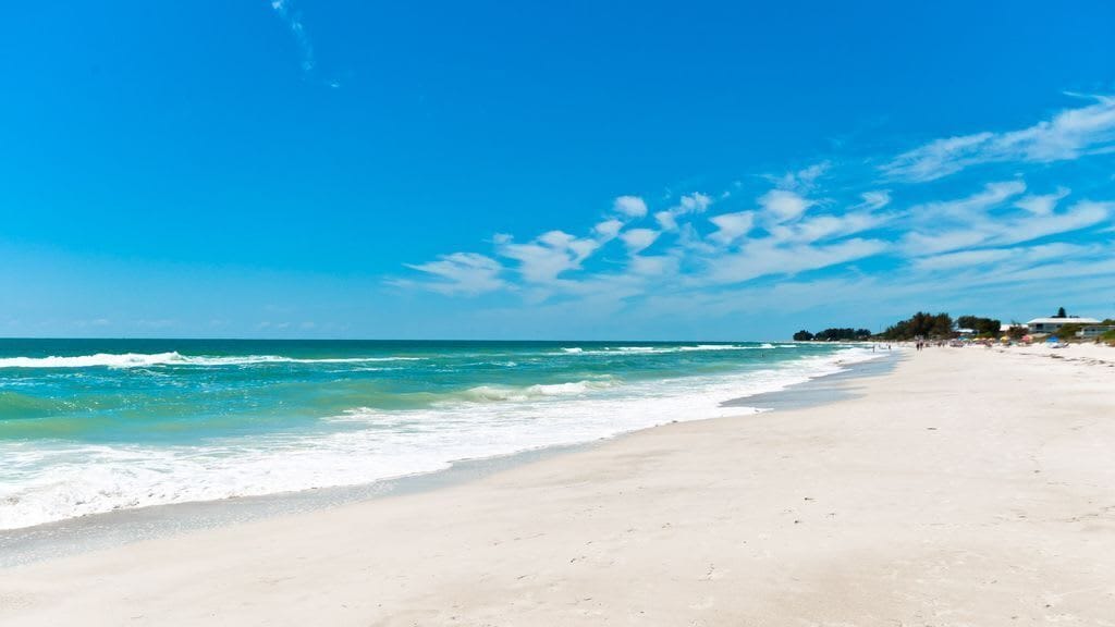 Playa