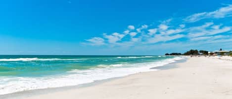 Playa