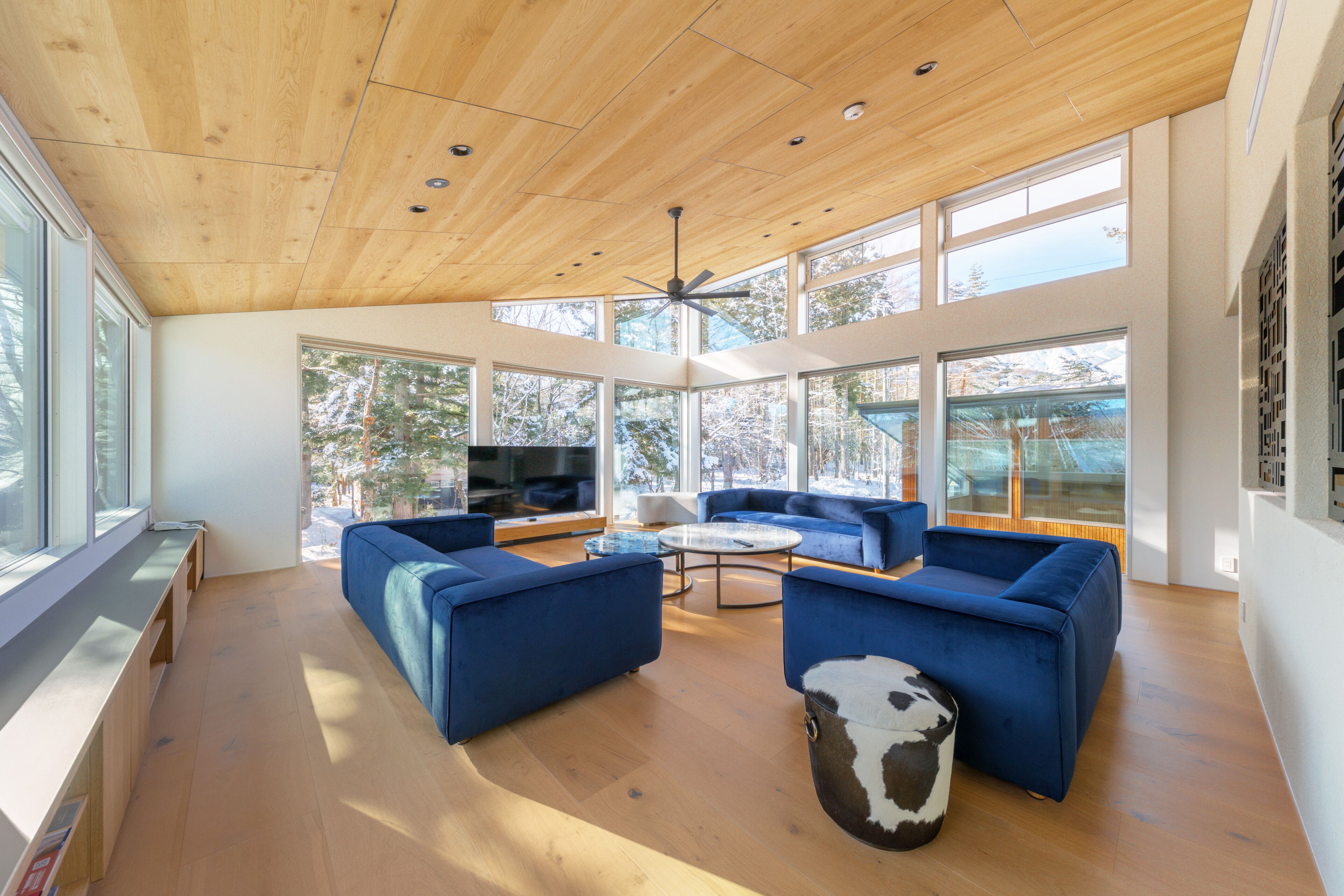 奢华木屋 | 起居区 | 75-英寸纯平电视 （配备数码频道）、电视