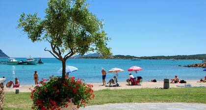 I Fari D220 600mt From The Beach