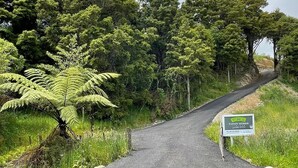 Une route de campagne bordée d’une végétation luxuriante et un panneau indiquant l’emplacement de Tuohy Homes.