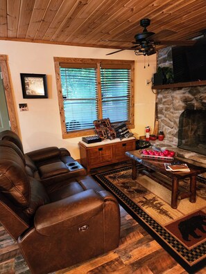 Smart TV, fireplace, books