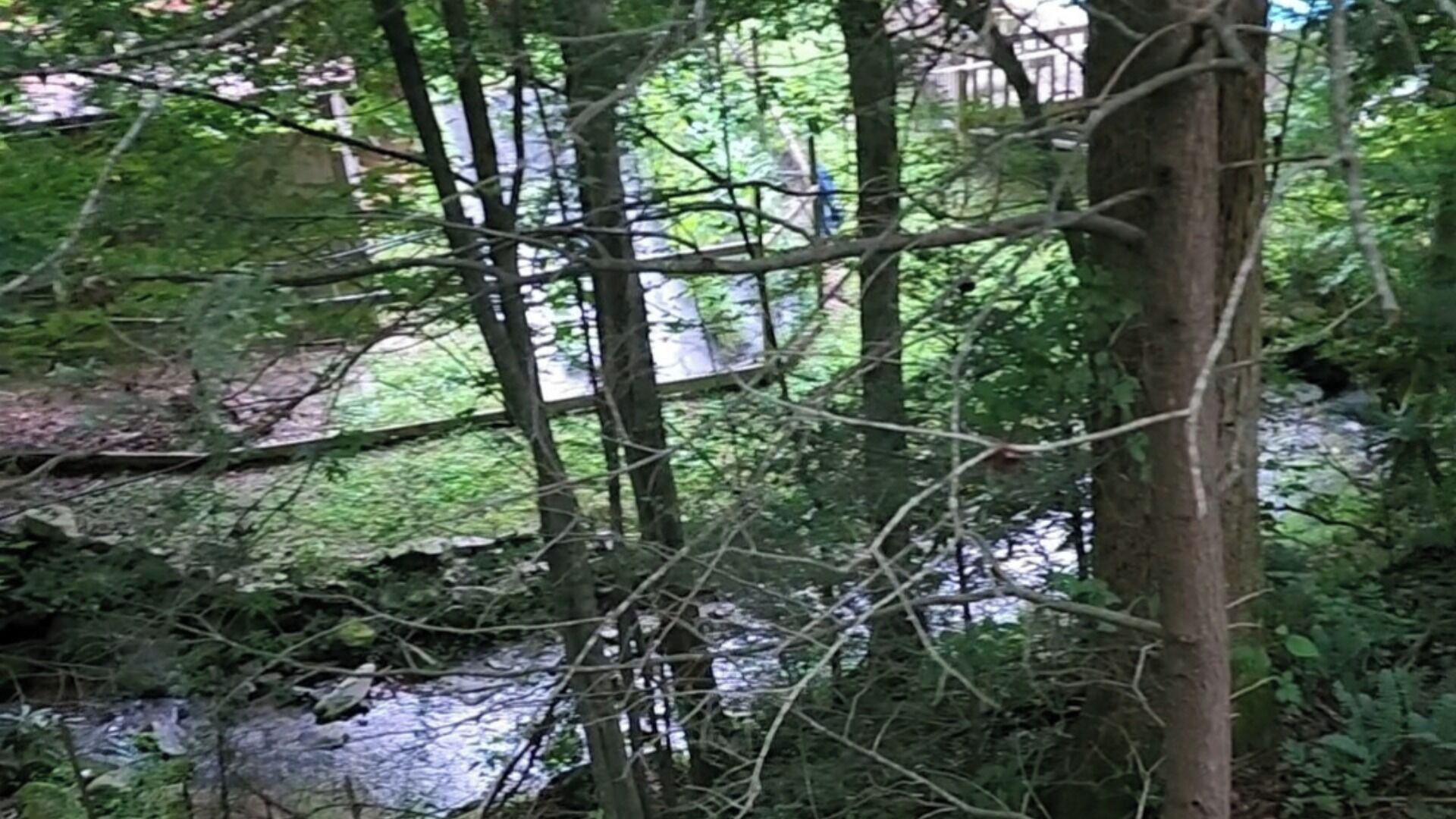 Metsäinen alue, jossa on puro, puita ja taustalla näkyvä rakennus.