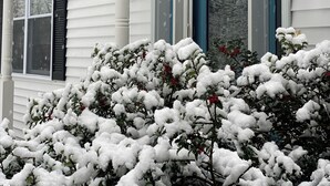 A house with a covered porch, a blue door, and snow-covered bushes.