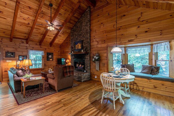 电视、壁炉、DVD 播放器