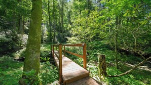 Un ponte di legno in una zona boschiva.