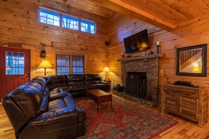 Televisión, chimenea y reproductor de DVD 