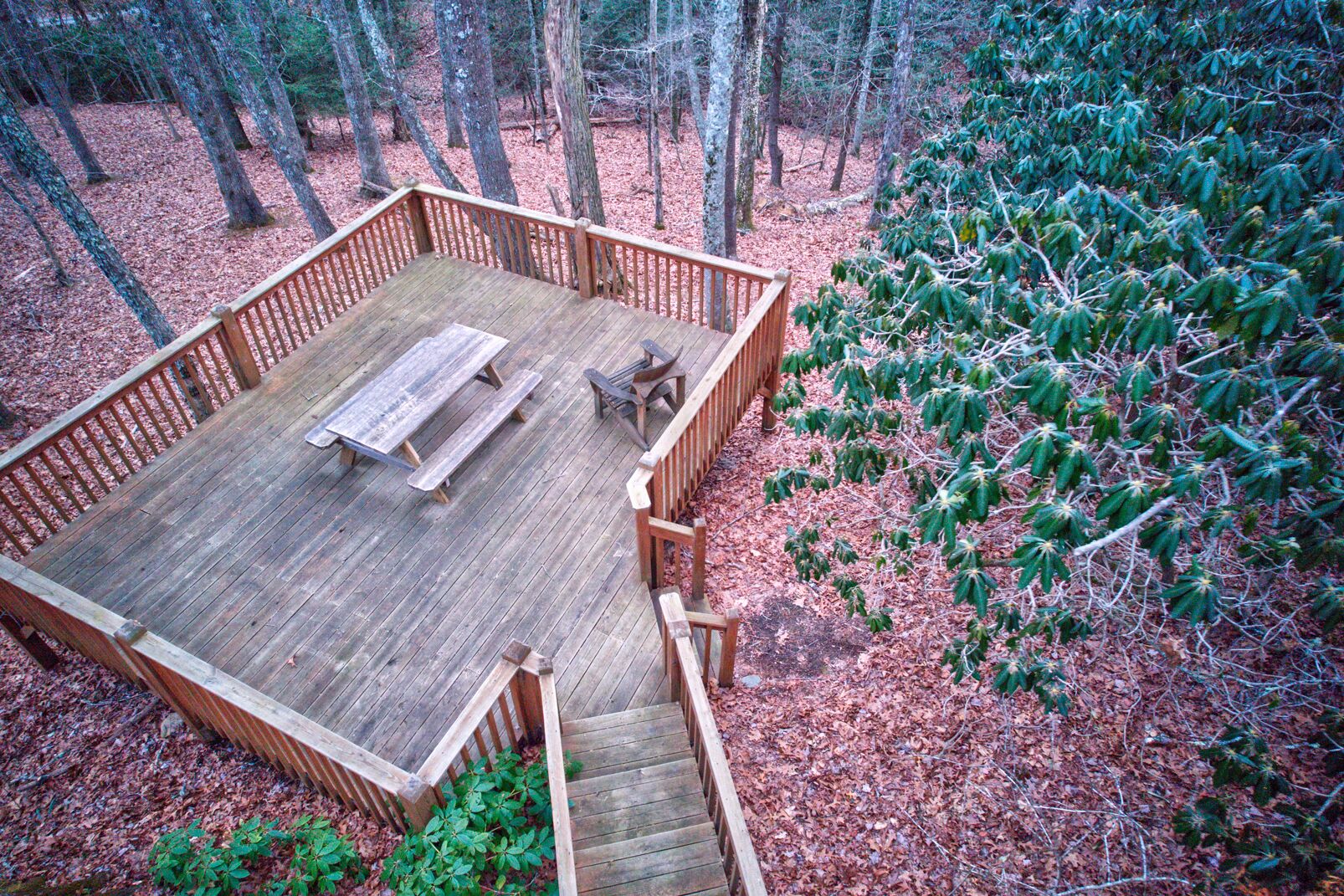 A wooden deck with a picnic table and benches, surrounded by trees and a dense bush.