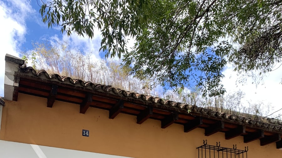 El Calvario Lofts