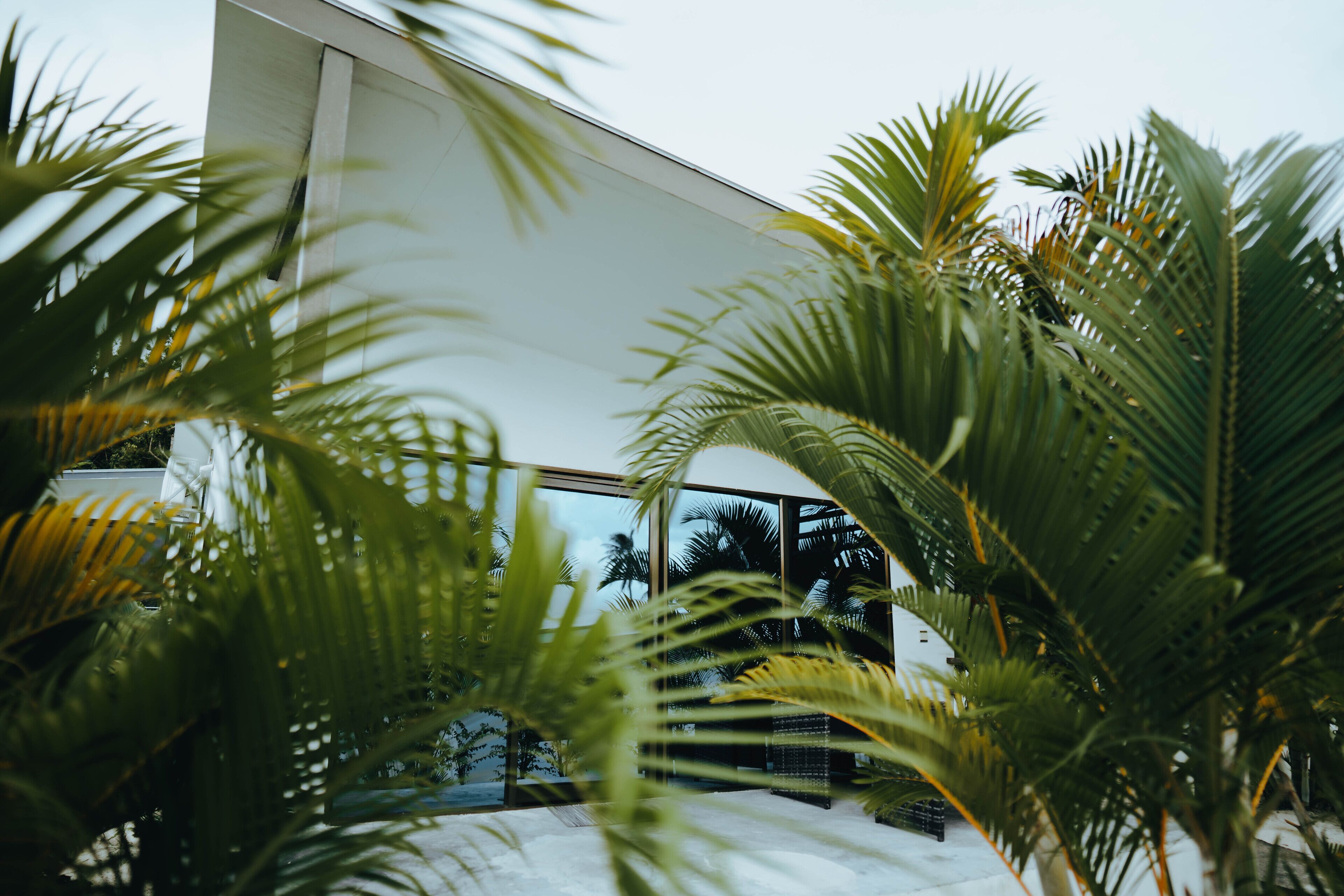 Double or Twin Room | Terrace/patio