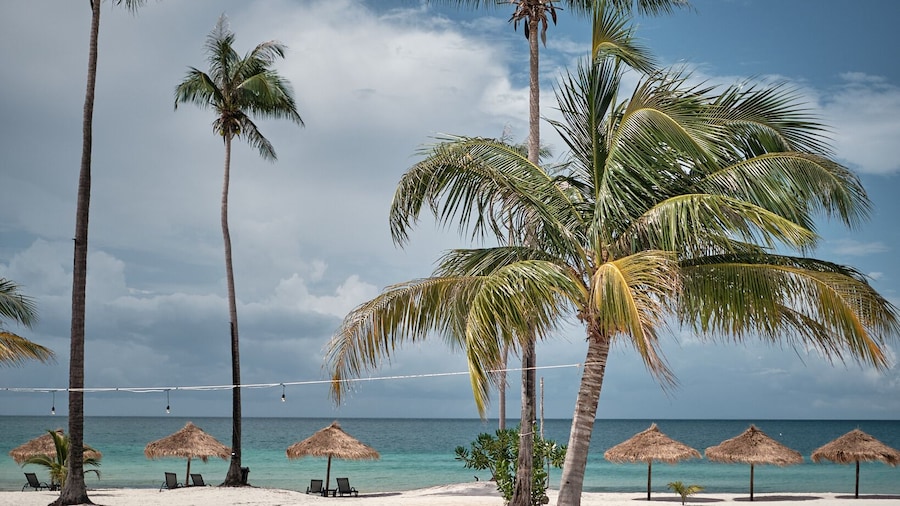 The One Resort Koh Rong