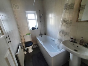 Combined shower/bathtub, hair dryer, soap, toilet paper