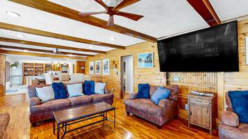 Een televisie, een open haard, videogames en een dvd-speler