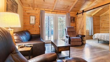 TV, fireplace, DVD player