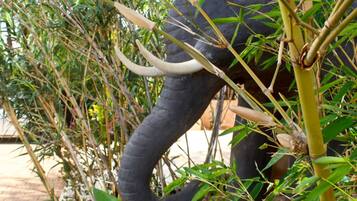 Un elefante rodeado de abundante follaje verde y tallos de bambú.