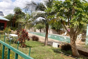 حمام سباحة