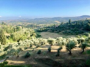 A panoramic view of a rural landscape with olive groves, rolling hills, and distant mountains. - Channel Suite - 3 (Sinalunga)