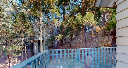 Tree-surrounded retreat w/ balcony, patio, fireplace, Lake access, washer/dryer