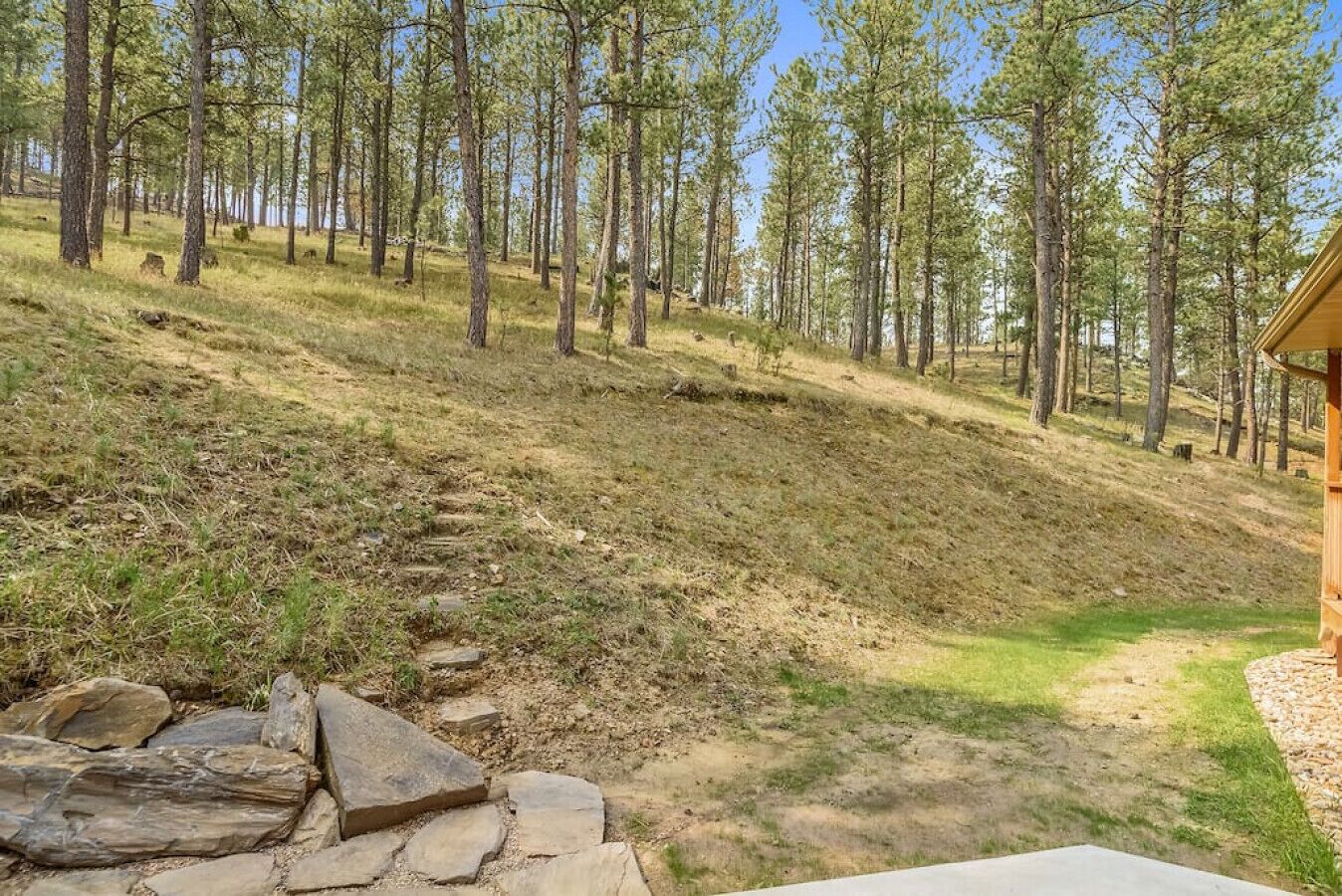A forested area with a stone pathway leading uphill, a wooden structure on the right, and a clear sky.