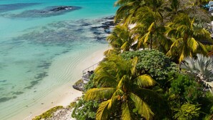 Vista de una playa con aguas turquesas cristalinas, palmeras y una orilla arenosa.