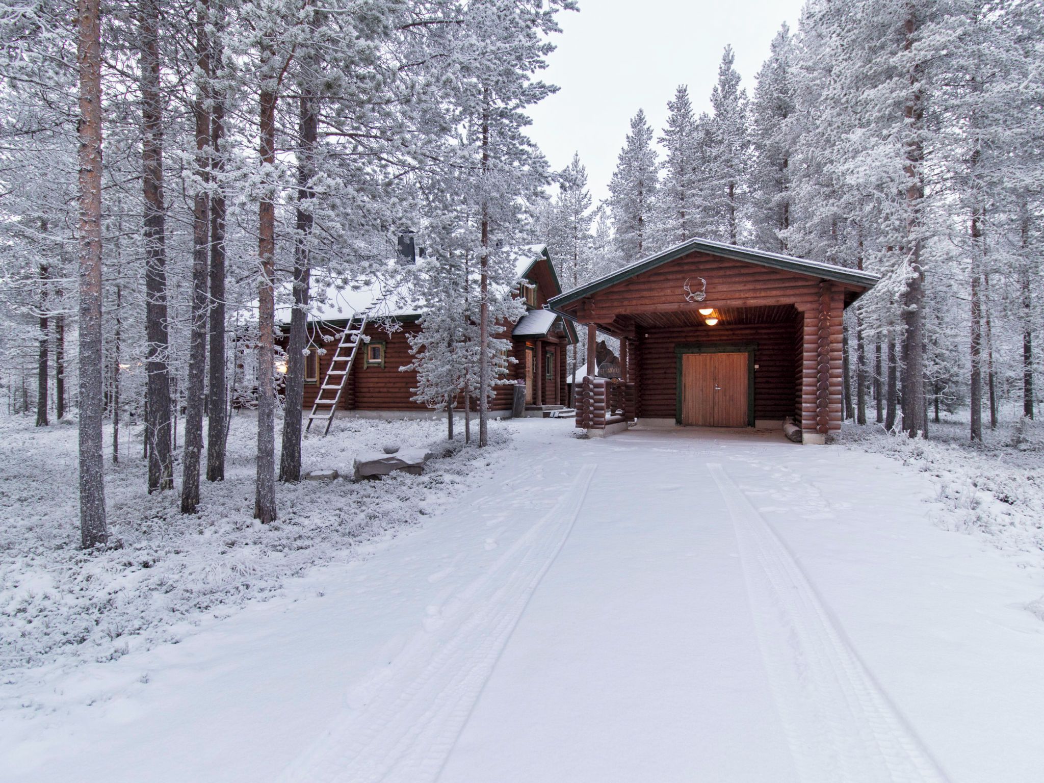A log cabin with a wooden porch and a ladder leading to a loft, surrounded by snow-covered trees.