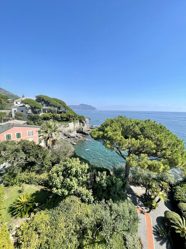 A coastal property with a clear view of the sea, lush greenery, and a pathway leading to a building with a red facade.